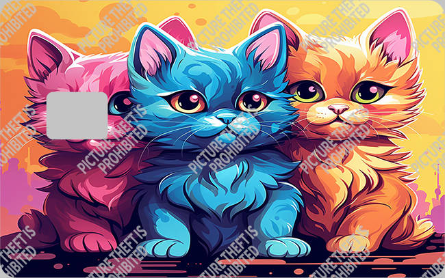 Bank  Card Sticker-BC-2267
